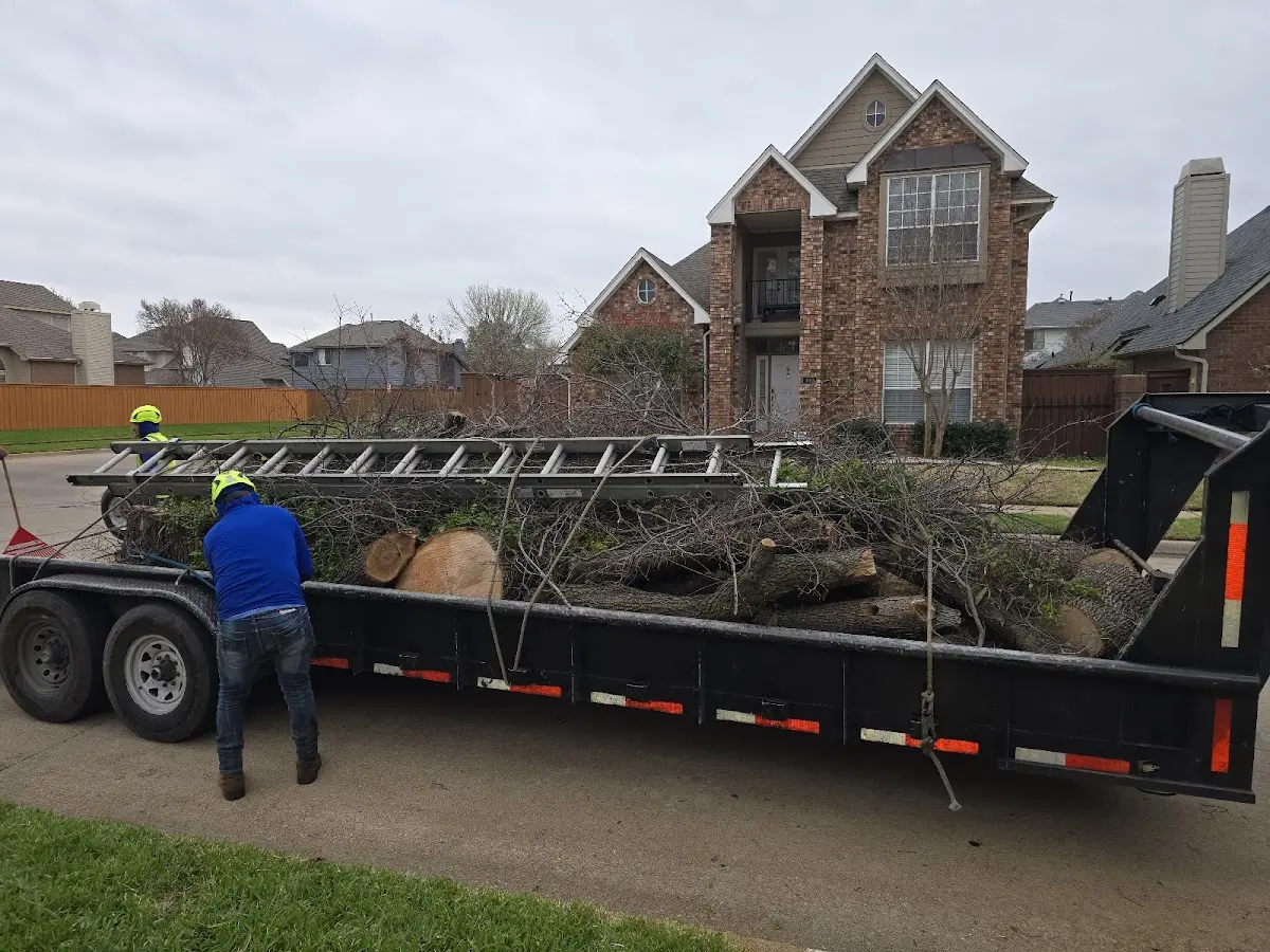 Expert Tree Removal with proper safety equipment in Hartville